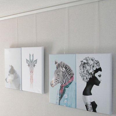 Click Rail Pro-an Artiteq art track