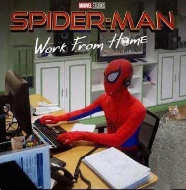Picture Hanging Systems - Spiderman works from home