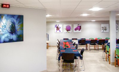 Picture hanging systems in healthcare